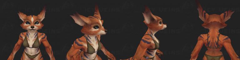 ears 13f.jpg